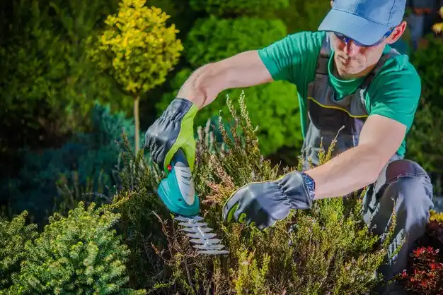 landscaping services Climax